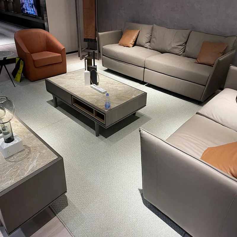 Modern living room suitable for high and low loop pile polyester tufted carpet